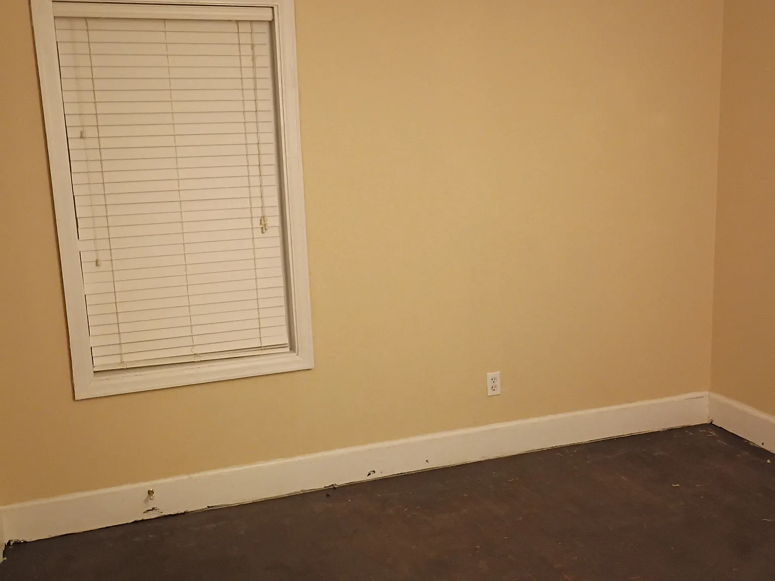 2 bed, 1200 sqft, $450 — Photo 1