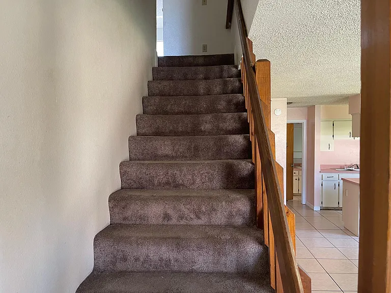 215 Mary Catherine Ct — Photo 7