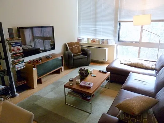 Rented by Citi Habitats | media 22