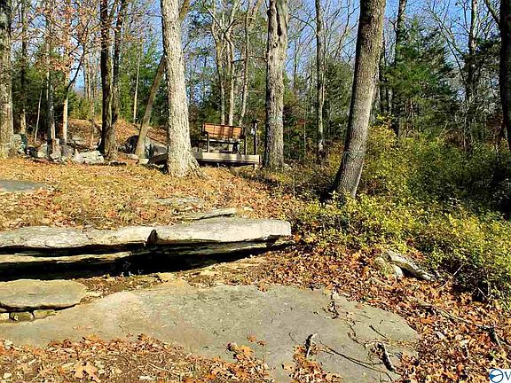5th image of 0 Forest Chapel Cir NE