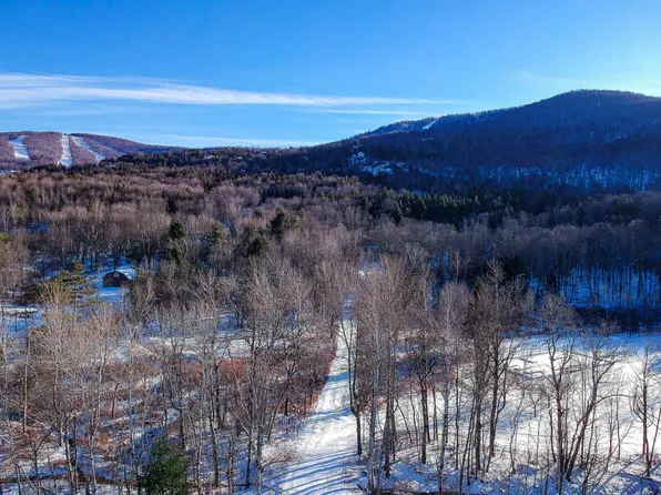 L1911 South St, Windham, NY 12496