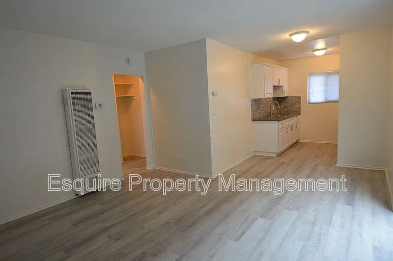 1 bed, 1.0 bath, 506 sqft, $1,695 — Photo 3