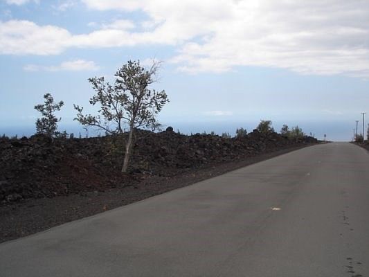 2nd image of Macadamia Dr Lot 45
