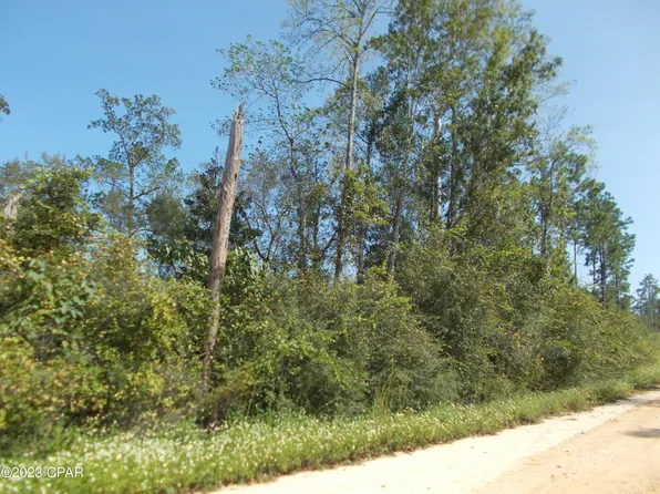 LOT 12 Los Padres Ave, Alford, FL 32420