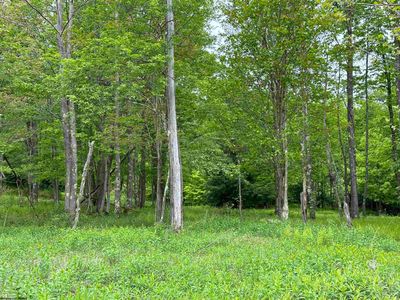 68 Venice Pl, Davis, WV, 26260