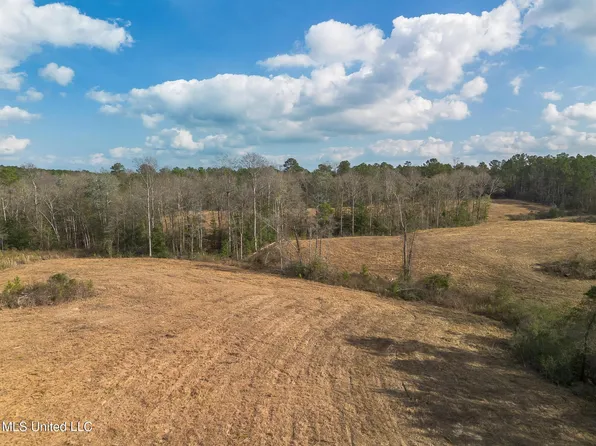 Fruitland Park Rd, Wiggins, MS 39577