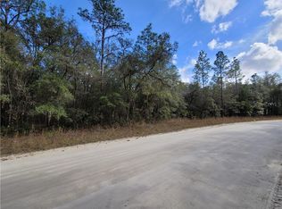 00 SW 165th Avenue Rd, Ocala, FL 34481
