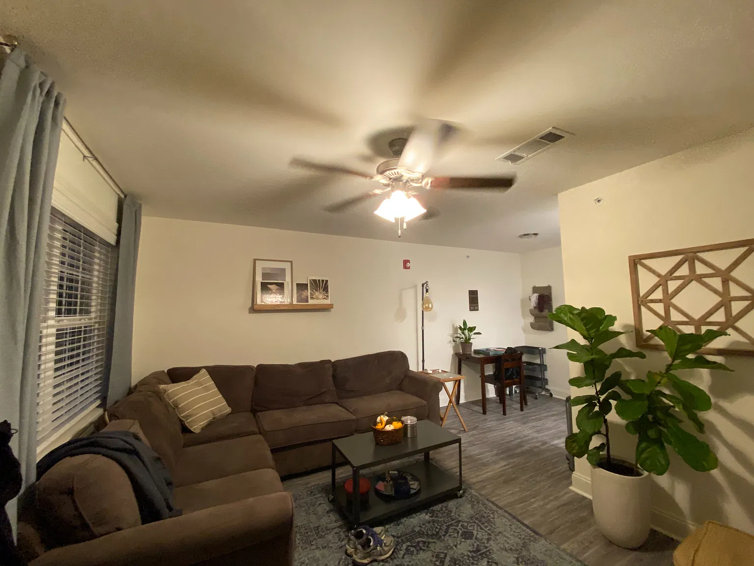 1 bed, 560 sqft, $900 — Photo 3