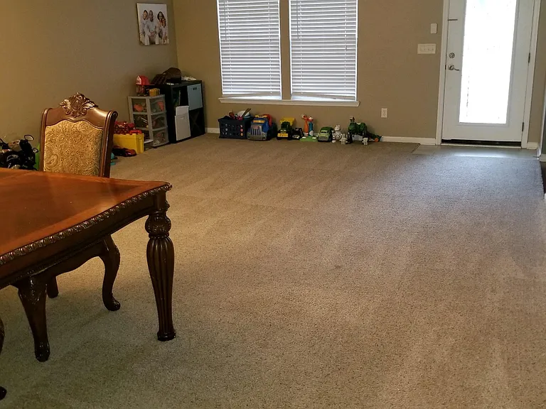 11533 Pleasant Creek Dr — Photo 6
