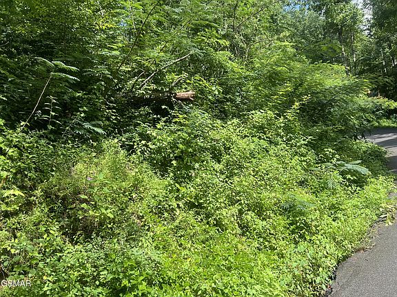 4th image of 752 Loop Rd Lot 2