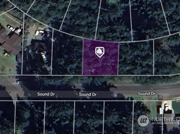 12023 Sound Drive, Anderson Island, WA 98303