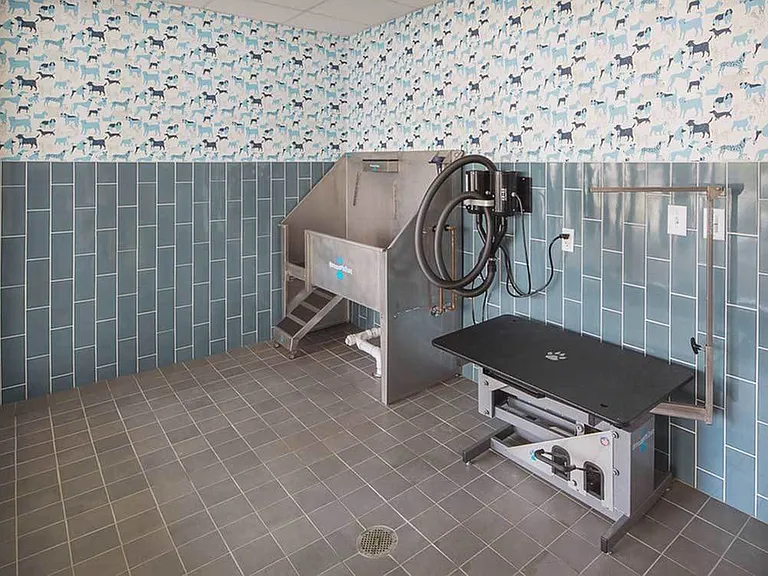 Pet grooming spa room with dryer