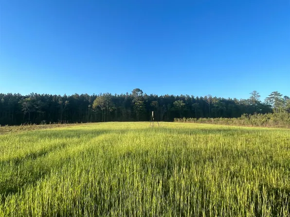 0 Cedar Cut Rd, Luverne, AL 36049