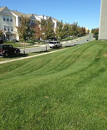 3rd image of 14209 Waterfowl Ln