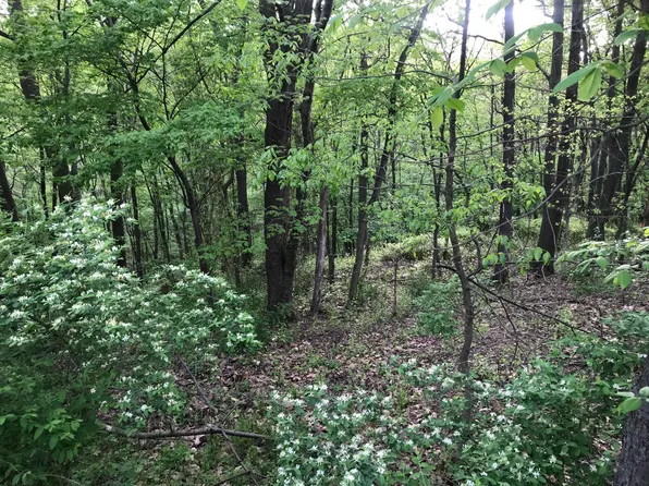 Lots 41/42 Wild Cherry Ln, Northumberland, PA 17857