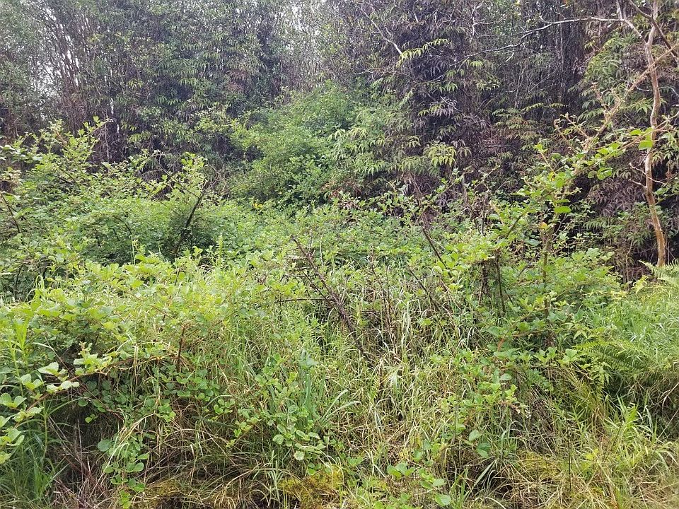 2nd image of Road 8 Lot 500