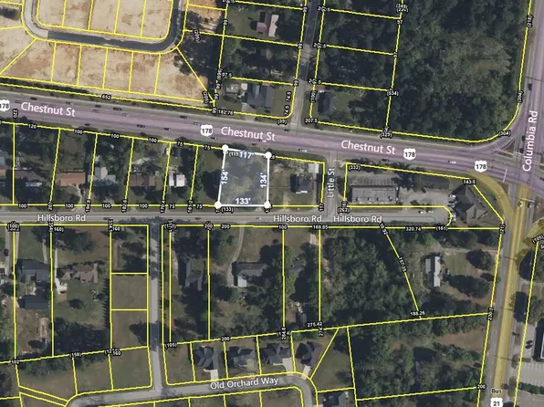 1711 Chestnut St, Orangeburg, SC 29115