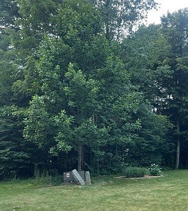 5th image of V/l 258 Stony Brook Ln