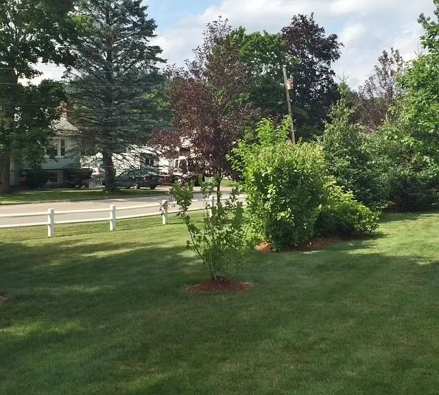 3961 Brown Ave #73 — Photo 32