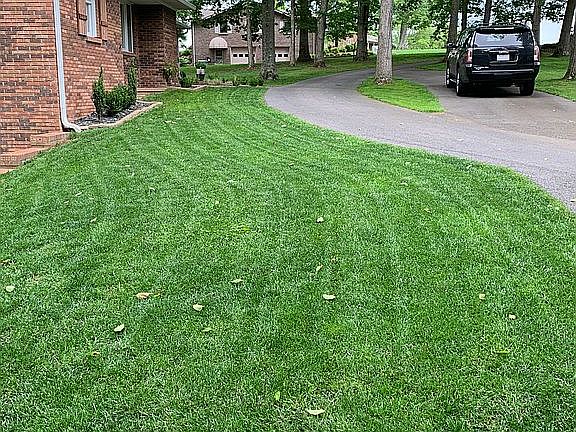 4th image of 352 Woodhaven Dr
