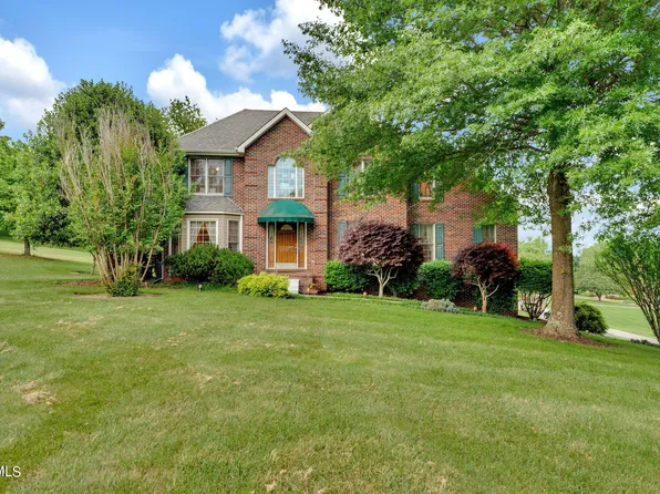 401 Mountain View Ct, Blountville, TN 37617