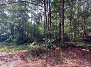 916 Virgin Mary Rd, Camden, MS 39045