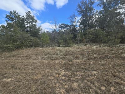 Hale Ave, Chipley, FL, 32428