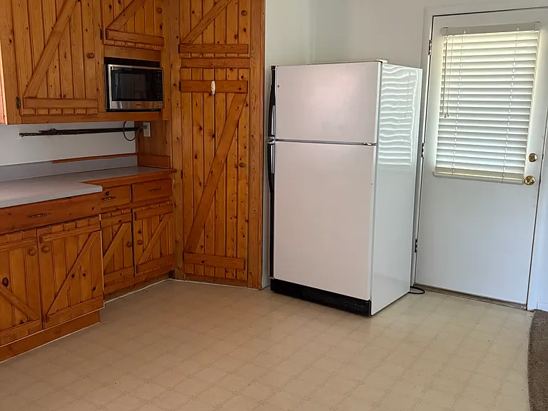 kitchen includes microwave and fridge
