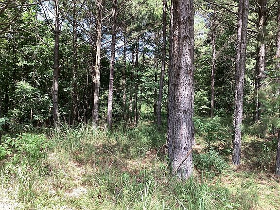 3rd image of Weaver Ln #E