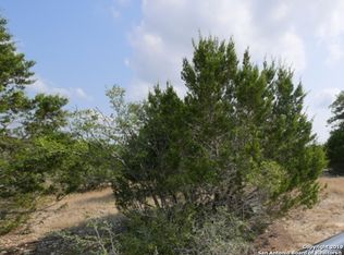 311 Red Rose St, Spring Branch, TX 78070