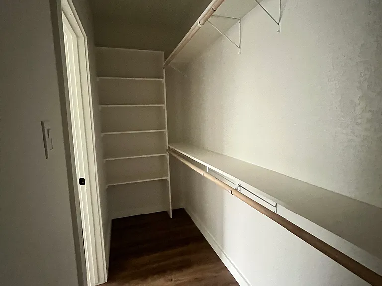 Primary closet with built-ins