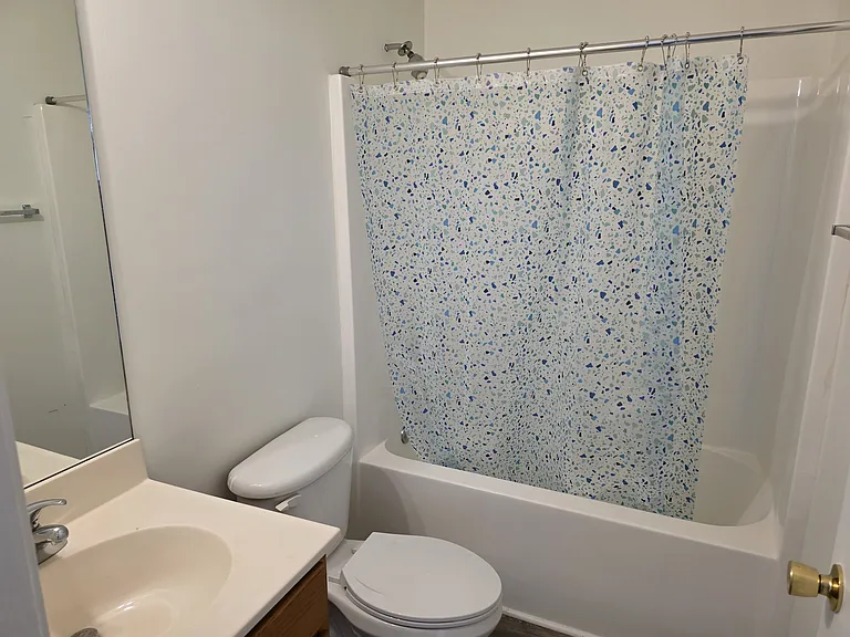 4823 Poplar Crest Way — Photo 7