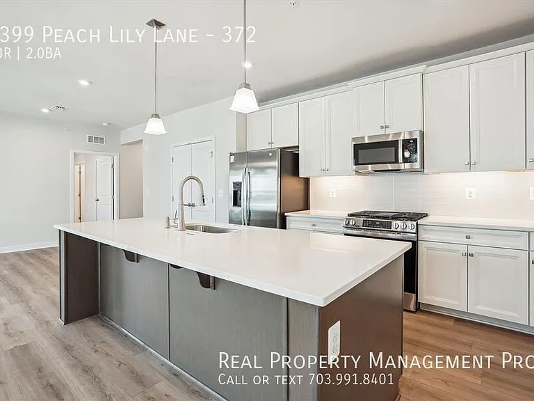 4399 Peach Lily Ln #372 — Photo 4