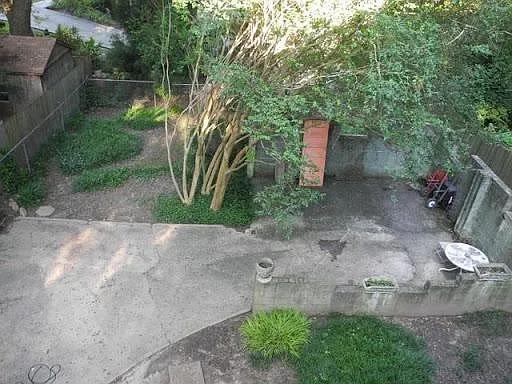Backyard pattio and driveway