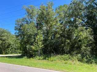 20 Richardson Blvd, Webster, FL 33597