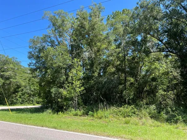 20 Richardson Blvd, Webster, FL 33597