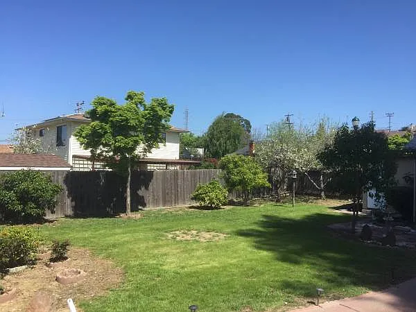 25386 Uvas Ct — Photo 21