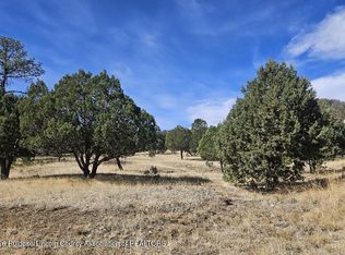 102 Deer Valley Dr #4, Alto, NM 88312