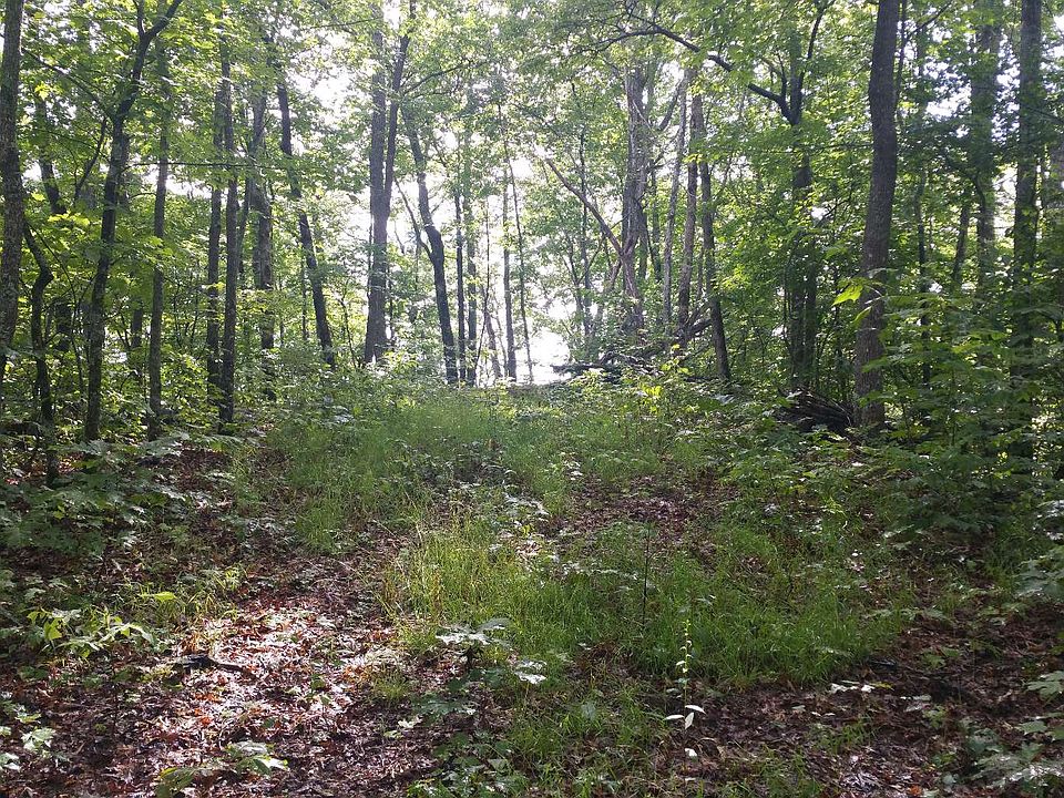 2nd image of Lories Mountain Dr