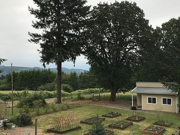 Garden/Studio/Workshop