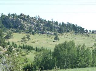 201 Gordon Ct, Livermore, CO 80536