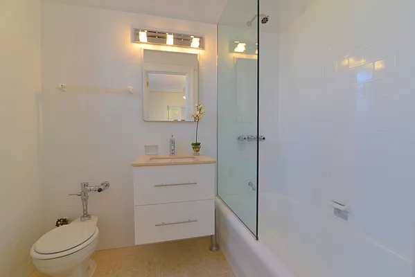 Sold by Carol E Levy | media 11