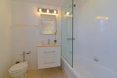 Sold by Carol E Levy