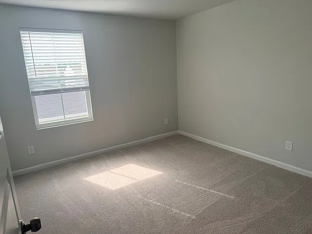 204 Pine Crest View Dr — Photo 15