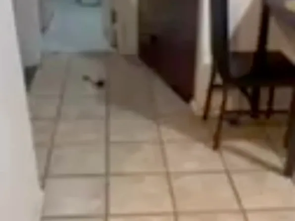 3575 E Tremont Ave, Bronx, NY 10465