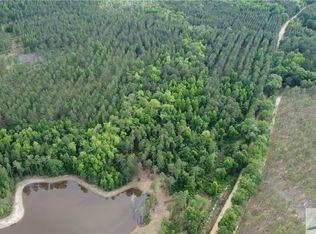 0 Old Manassas Foy Rd LOT 2, Register, GA 30452