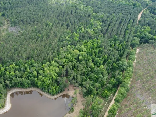 0 Old Manassas Foy Road Tract#2, Register, GA 30452