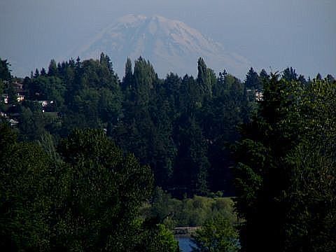 Mt. Rainier from Deck