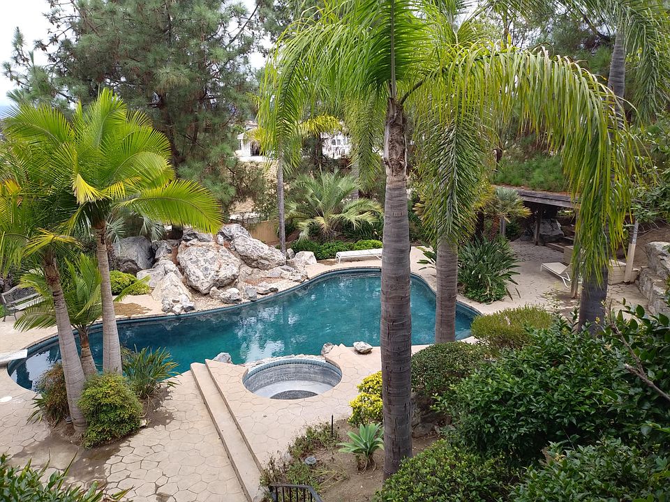 View out picture window.