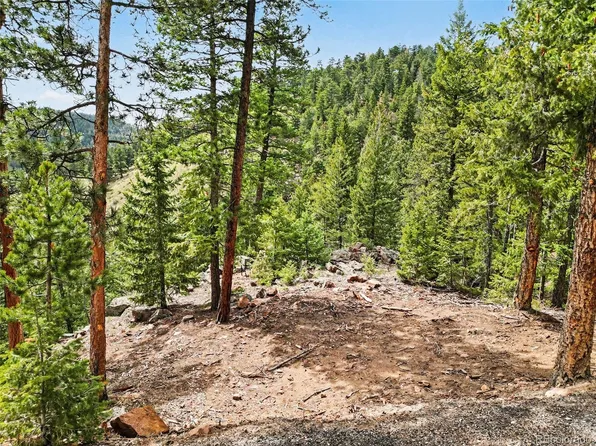 7141 Timber Trail Road LOT 4&5, Evergreen, CO 80439